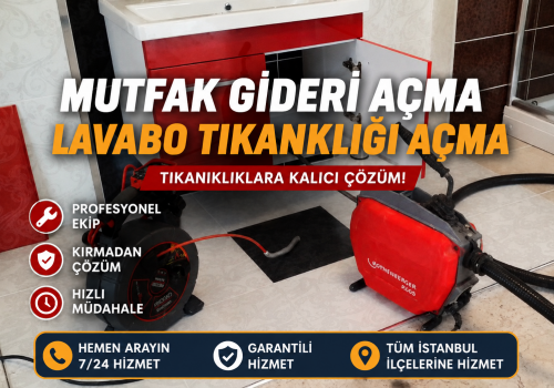 Lessons of Resilience